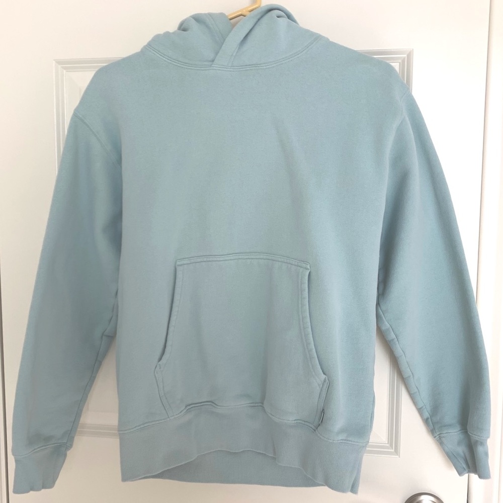 Aritzia TNA The Perfect Hoodie in Sea Spray